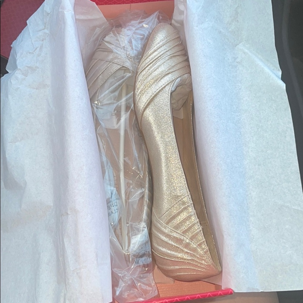 BRAND NEW!! Kelly&Katie Champagne Dealonna flats!